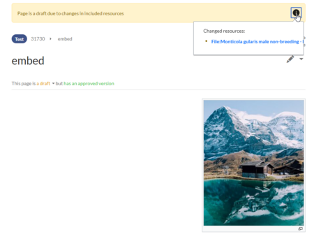 Page draft with preview of changed resource and resource change banner