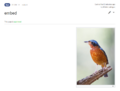 Thumbnail for version as of 13:22, 24 July 2023