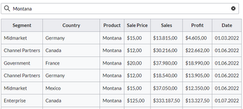 Screenshot of a filtered table