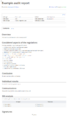 Template for an audit report